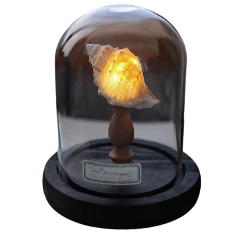 Lampu LED Mini DIY yang Indah, - Lighting Decoration Ideas For Home ulasan dan harga